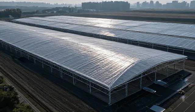 定制开发服务在系统兼容性中的使用建议